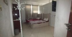 2 BEDROOM FULLY FURNISHED APARTMENT AVAILABLE FOR SALE IN HORIZON TOWER AJMAN